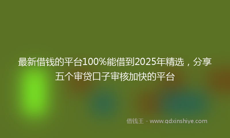 最新借钱的平台100%能借到2025年精选，分享五个审贷口子审核加快的平台