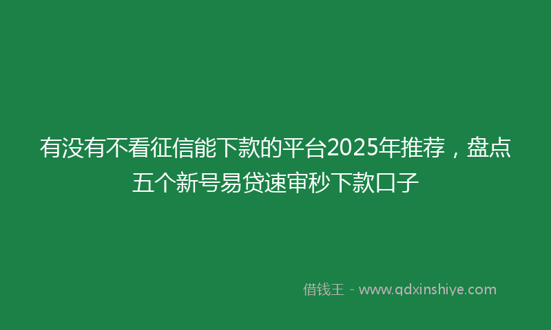 有没有不看征信能下款的平台2025年推荐，盘点五个新号易贷速审秒下款口子