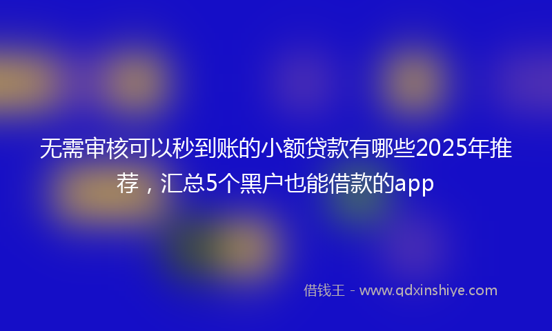 无需审核可以秒到账的小额贷款有哪些2025年推荐，汇总5个黑户也能借款的app