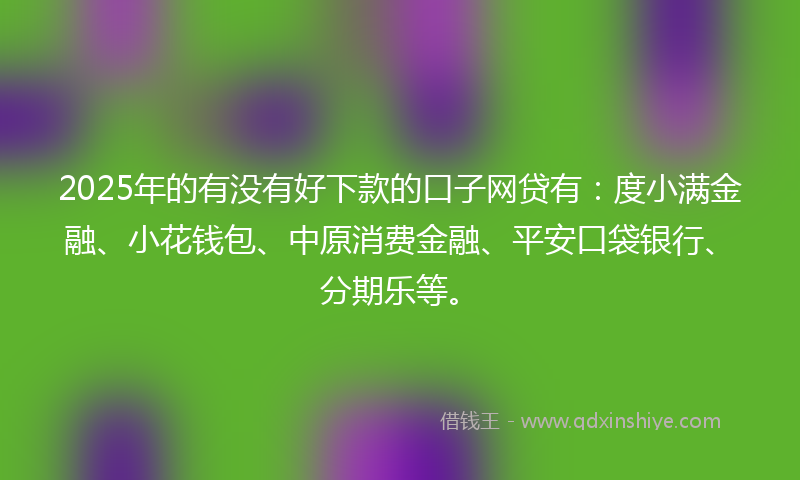 2025年的有没有好下款的口子网贷有：度小满金融、小花钱包、中原消费金融、平安口袋银行、分期乐等。
