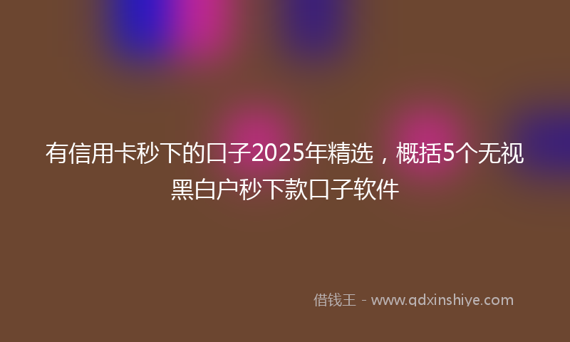 有信用卡秒下的口子2025年精选，概括5个无视黑白户秒下款口子软件