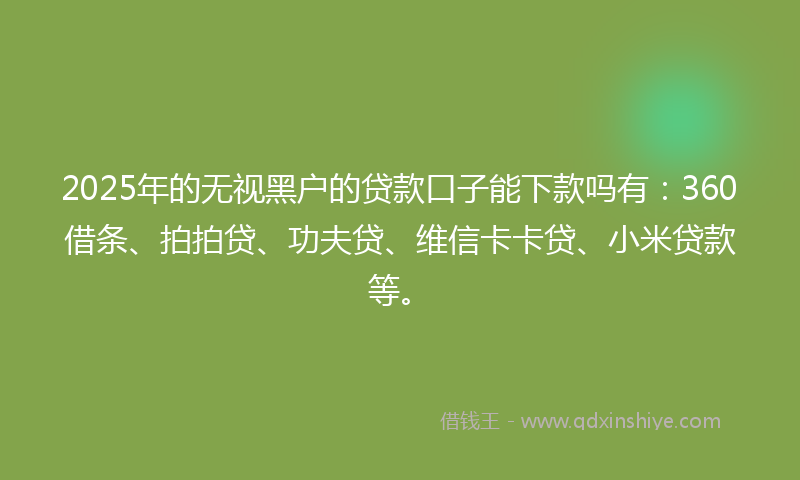 2025年的无视黑户的贷款口子能下款吗有：360借条、拍拍贷、功夫贷、维信卡卡贷、小米贷款等。