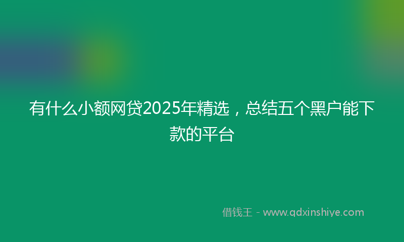 有什么小额网贷2025年精选，总结五个黑户能下款的平台