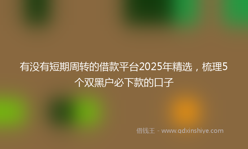 有没有短期周转的借款平台2025年精选，梳理5个双黑户必下款的口子