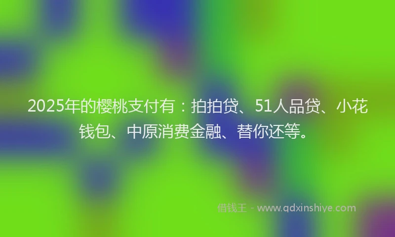 2025年的樱桃支付有：拍拍贷、51人品贷、小花钱包、中原消费金融、替你还等。