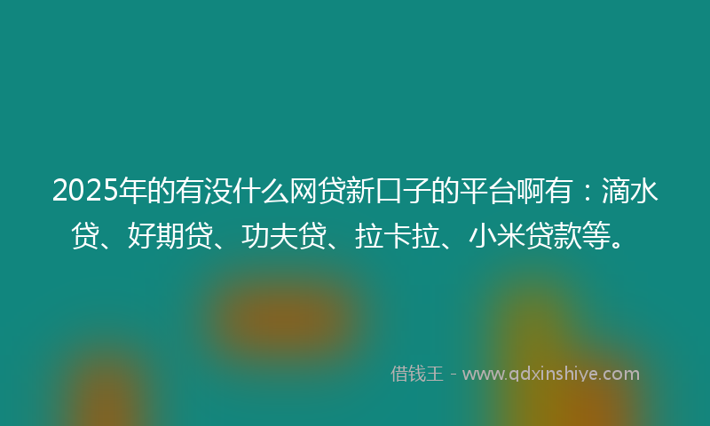 2025年的有没什么网贷新口子的平台啊有：滴水贷、好期贷、功夫贷、拉卡拉、小米贷款等。