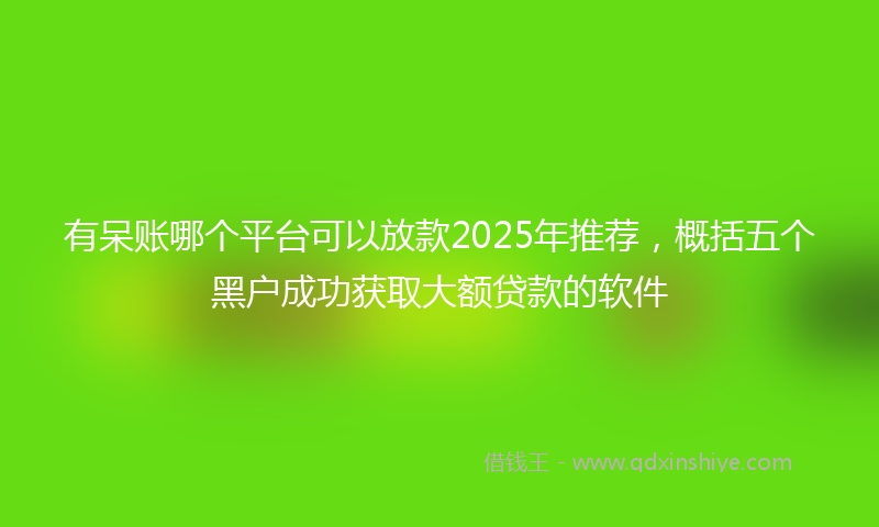有呆账哪个平台可以放款2025年推荐，概括五个黑户成功获取大额贷款的软件