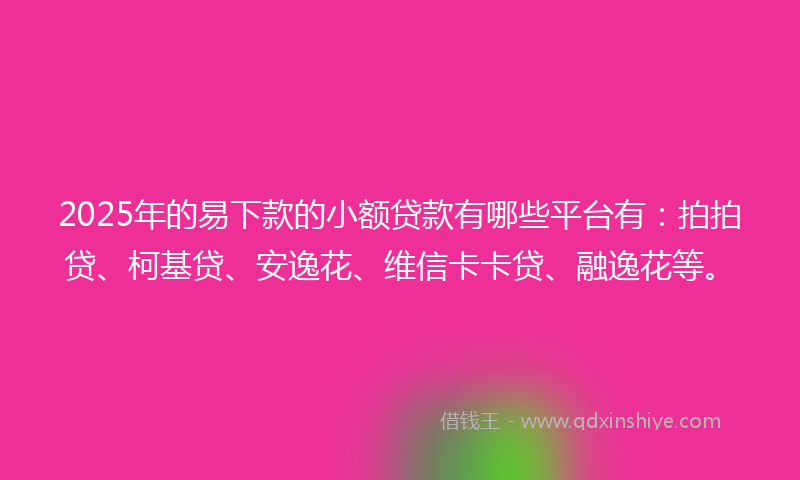 2025年的易下款的小额贷款有哪些平台有：拍拍贷、柯基贷、安逸花、维信卡卡贷、融逸花等。