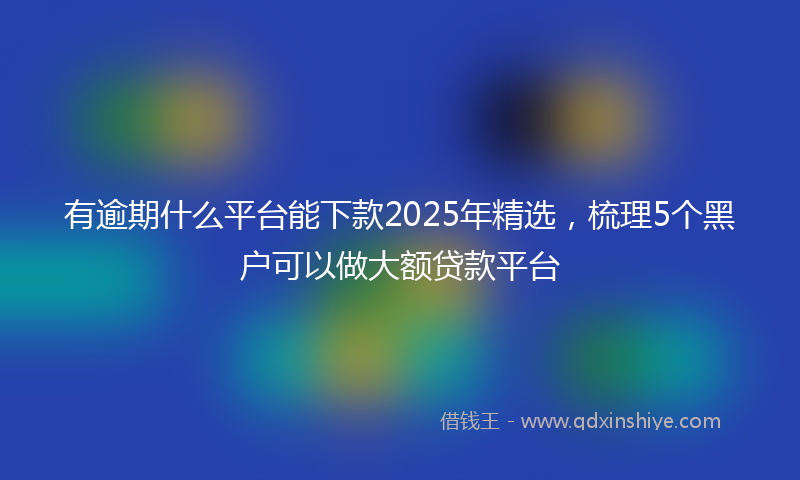 有逾期什么平台能下款2025年精选，梳理5个黑户可以做大额贷款平台