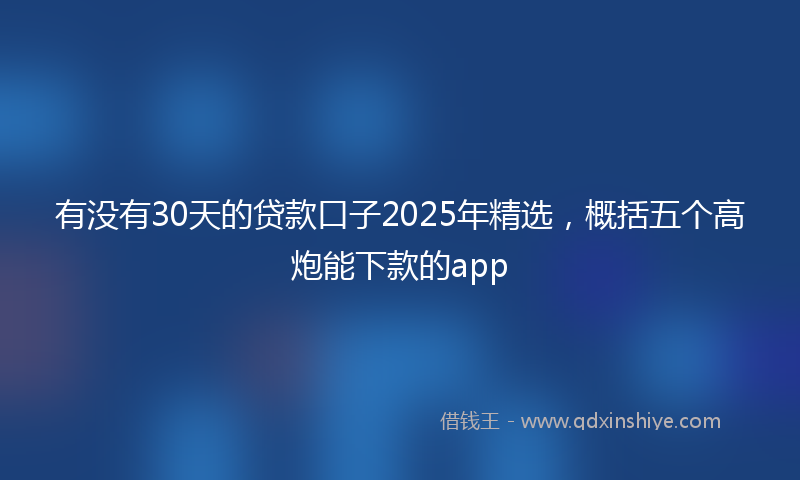 有没有30天的贷款口子2025年精选，概括五个高炮能下款的app