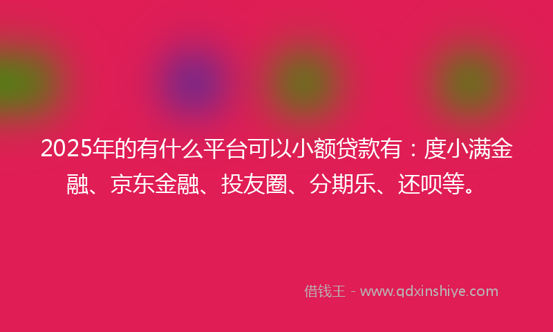 2025年的有什么平台可以小额贷款有：度小满金融、京东金融、投友圈、分期乐、还呗等。