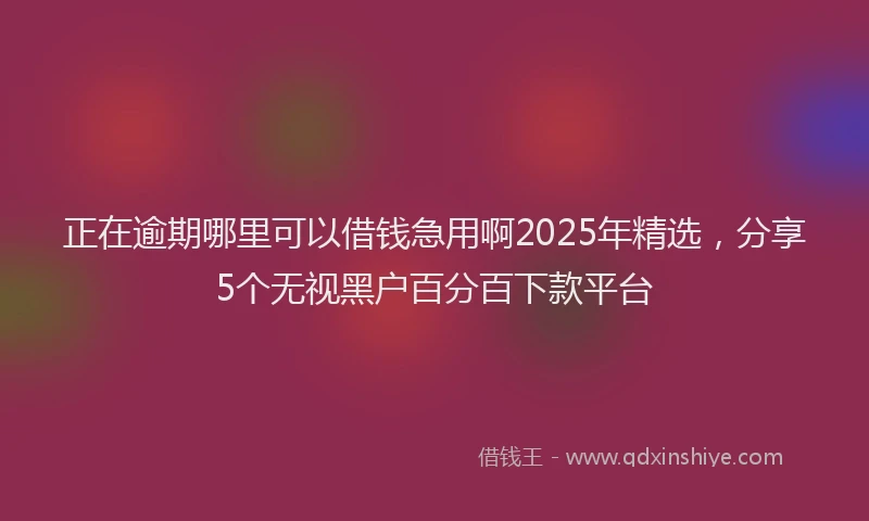 正在逾期哪里可以借钱急用啊2025年精选，分享5个无视黑户百分百下款平台