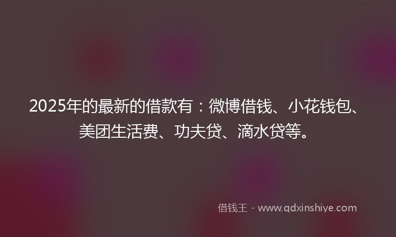 2025年的最新的借款有：微博借钱、小花钱包、美团生活费、功夫贷、滴水贷等。