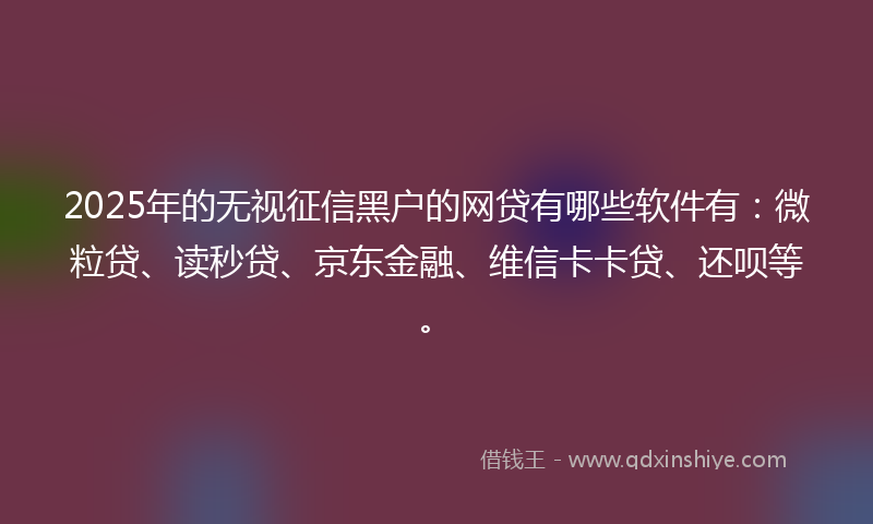 2025年的无视征信黑户的网贷有哪些软件有：微粒贷、读秒贷、京东金融、维信卡卡贷、还呗等。