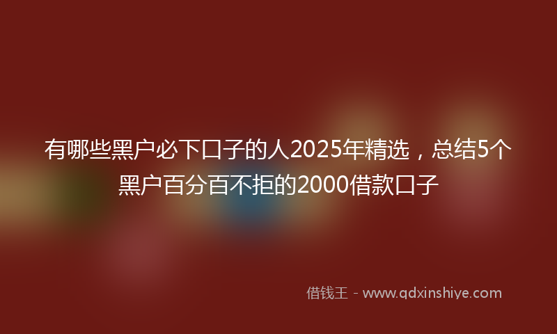 有哪些黑户必下口子的人2025年精选，总结5个黑户百分百不拒的2000借款口子