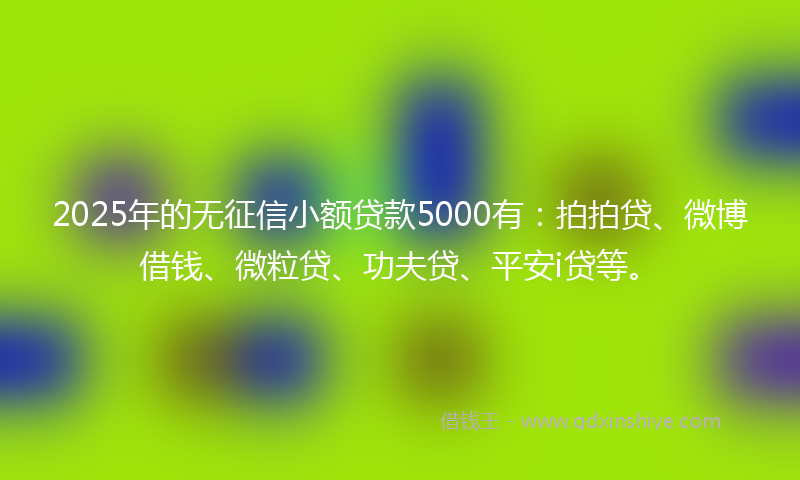 2025年的无征信小额贷款5000有：拍拍贷、微博借钱、微粒贷、功夫贷、平安i贷等。