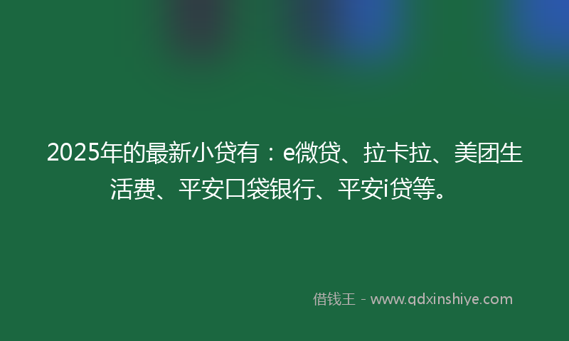 2025年的最新小贷有：e微贷、拉卡拉、美团生活费、平安口袋银行、平安i贷等。