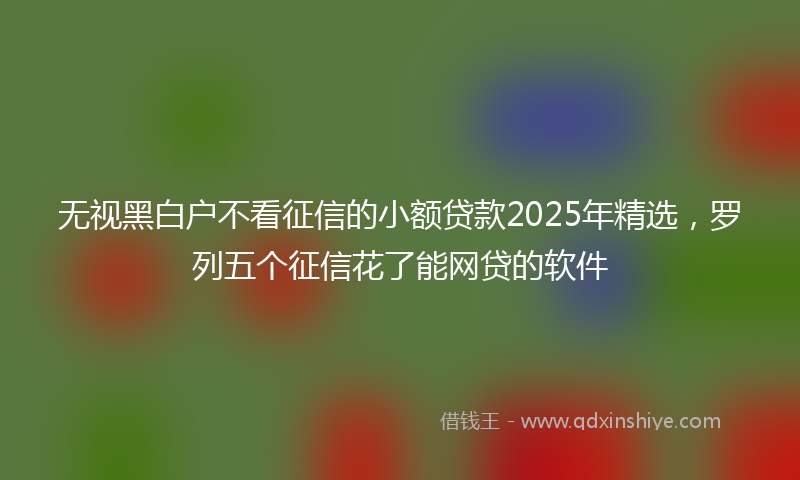 无视黑白户不看征信的小额贷款2025年精选，罗列五个征信花了能网贷的软件
