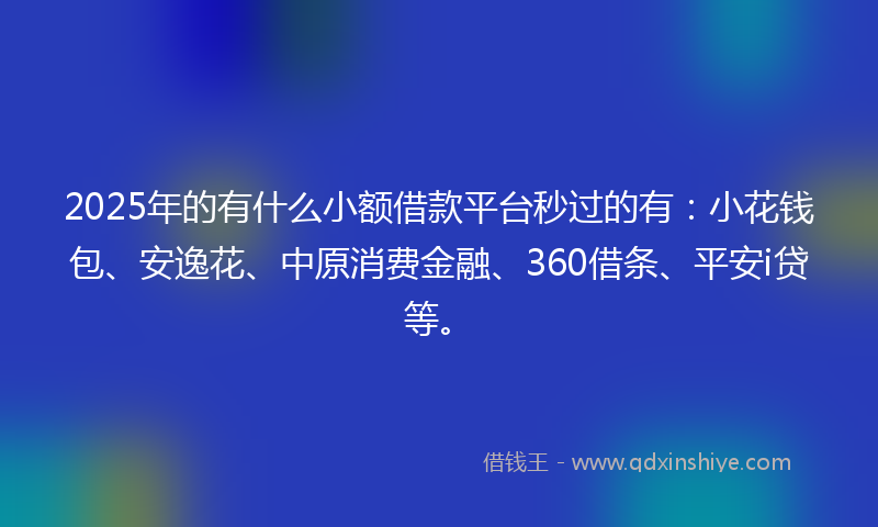 2025年的有什么小额借款平台秒过的有：小花钱包、安逸花、中原消费金融、360借条、平安i贷等。