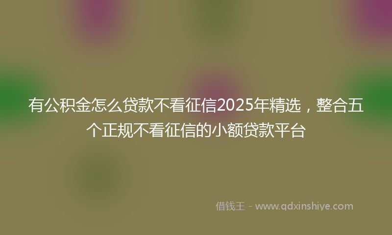 有公积金怎么贷款不看征信2025年精选，整合五个正规不看征信的小额贷款平台