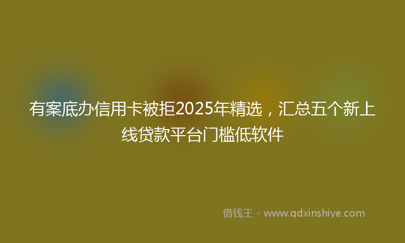 有案底办信用卡被拒2025年精选，汇总五个新上线贷款平台门槛低软件