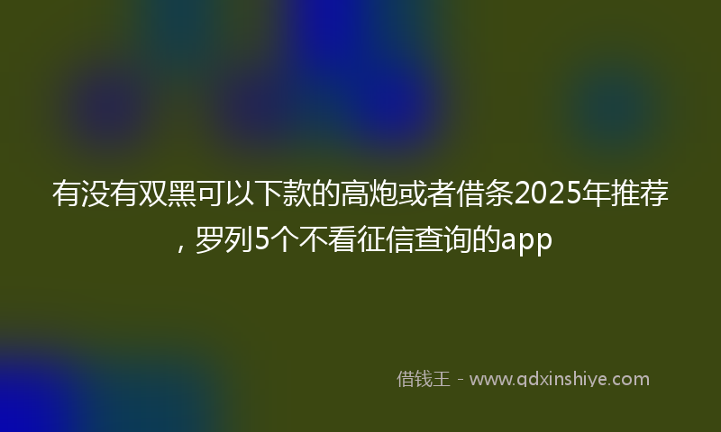 有没有双黑可以下款的高炮或者借条2025年推荐，罗列5个不看征信查询的app