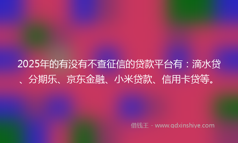 2025年的有没有不查征信的贷款平台有：滴水贷、分期乐、京东金融、小米贷款、信用卡贷等。