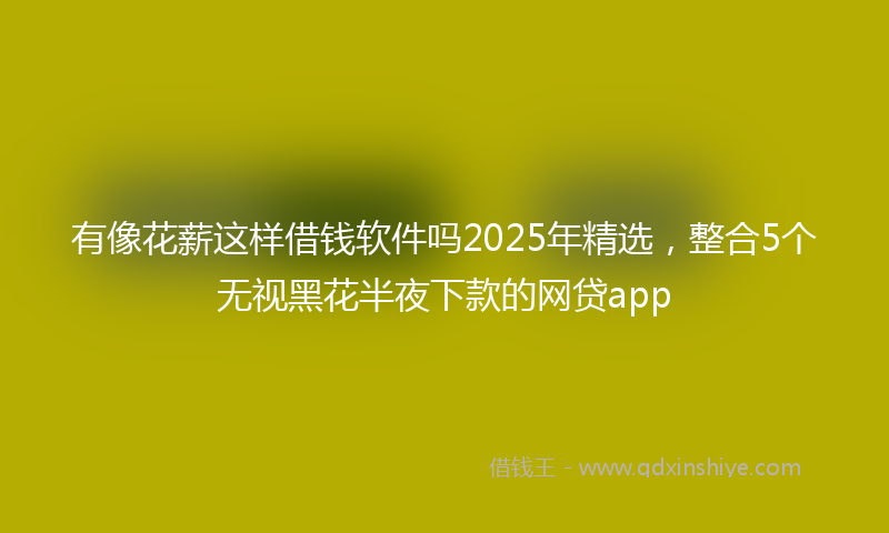 有像花薪这样借钱软件吗2025年精选，整合5个无视黑花半夜下款的网贷app