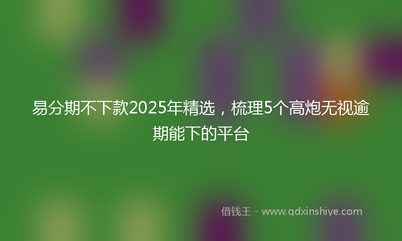 易分期不下款2025年精选，梳理5个高炮无视逾期能下的平台
