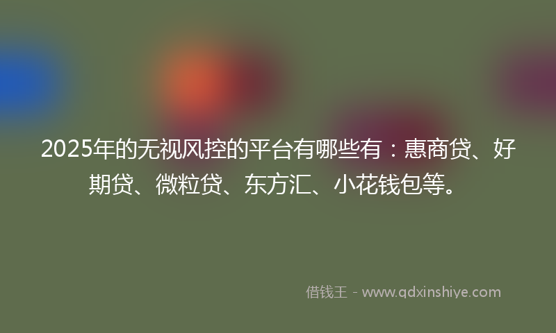 2025年的无视风控的平台有哪些有：惠商贷、好期贷、微粒贷、东方汇、小花钱包等。
