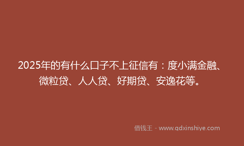 2025年的有什么口子不上征信有：度小满金融、微粒贷、人人贷、好期贷、安逸花等。