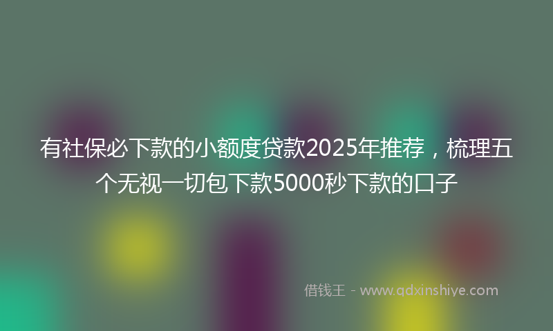 有社保必下款的小额度贷款2025年推荐，梳理五个无视一切包下款5000秒下款的口子