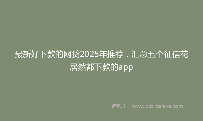 最新好下款的网贷2025年推荐，汇总五个征信花居然都下款的app