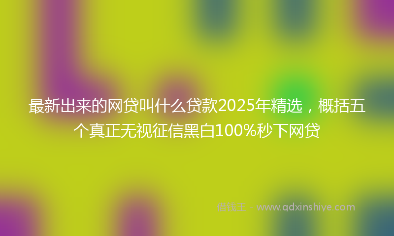 最新出来的网贷叫什么贷款2025年精选，概括五个真正无视征信黑白100%秒下网贷