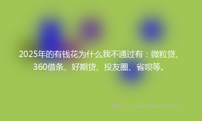 2025年的有钱花为什么我不通过有：微粒贷、360借条、好期贷、投友圈、省呗等。