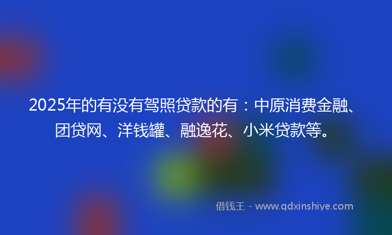 2025年的有没有驾照贷款的有：中原消费金融、团贷网、洋钱罐、融逸花、小米贷款等。