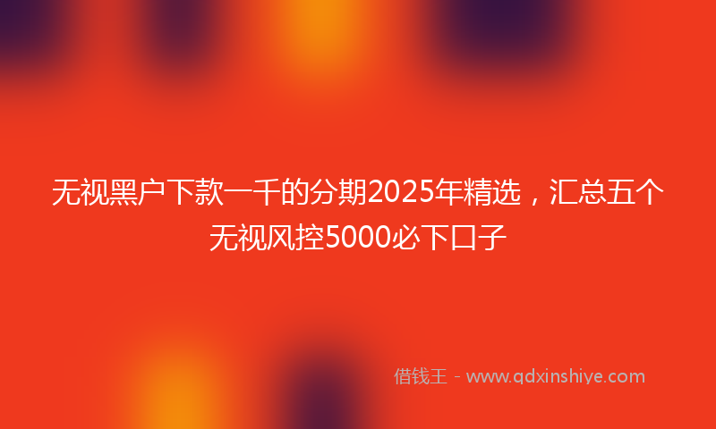 无视黑户下款一千的分期2025年精选，汇总五个无视风控5000必下口子