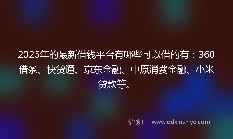2025年的最新借钱平台有哪些可以借的有：360借条、快贷通、京东金融、中原消费金融、小米贷款等。