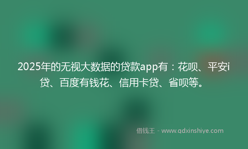 2025年的无视大数据的贷款app有：花呗、平安i贷、百度有钱花、信用卡贷、省呗等。