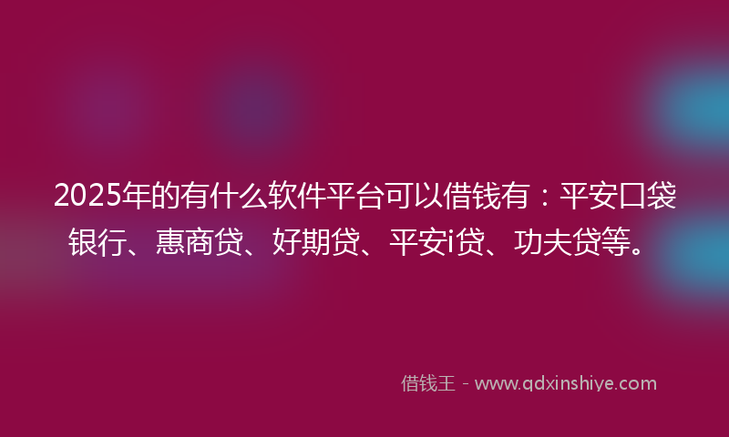 2025年的有什么软件平台可以借钱有：平安口袋银行、惠商贷、好期贷、平安i贷、功夫贷等。