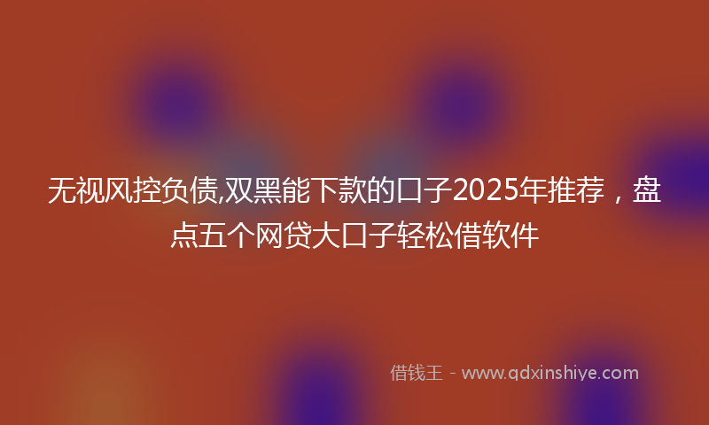 无视风控负债,双黑能下款的口子2025年推荐，盘点五个网贷大口子轻松借软件