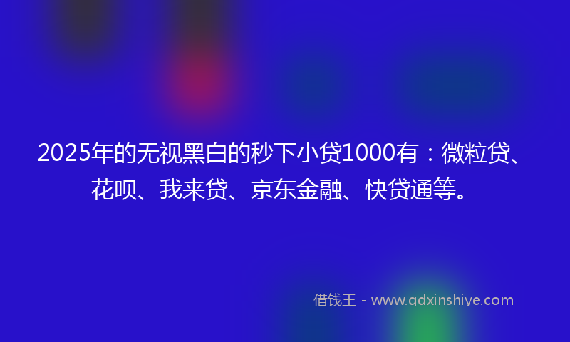 2025年的无视黑白的秒下小贷1000有：微粒贷、花呗、我来贷、京东金融、快贷通等。