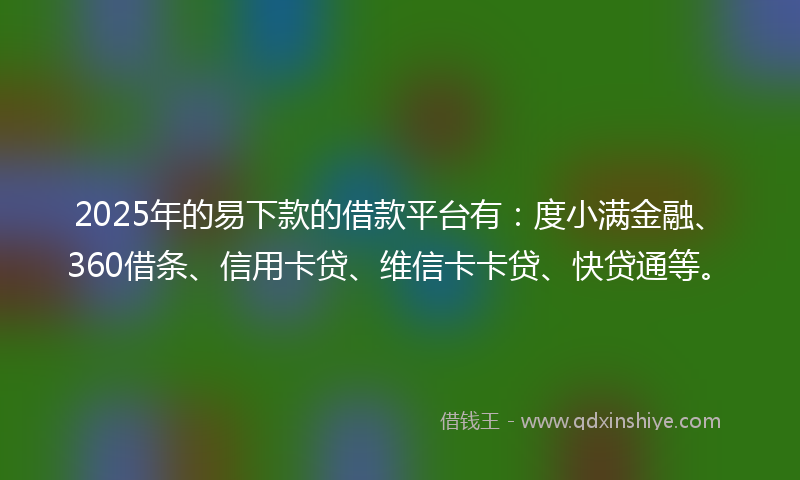 2025年的易下款的借款平台有：度小满金融、360借条、信用卡贷、维信卡卡贷、快贷通等。