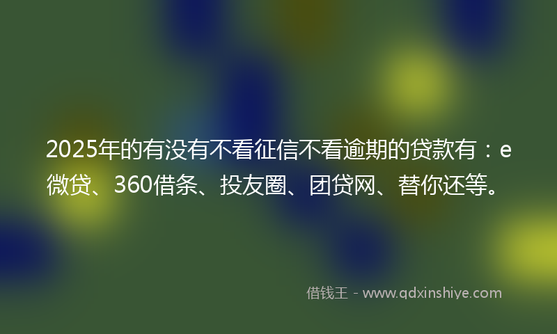 2025年的有没有不看征信不看逾期的贷款有：e微贷、360借条、投友圈、团贷网、替你还等。