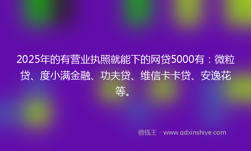 2025年的有营业执照就能下的网贷5000有：微粒贷、度小满金融、功夫贷、维信卡卡贷、安逸花等。