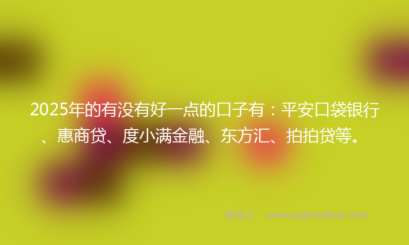 2025年的有没有好一点的口子有：平安口袋银行、惠商贷、度小满金融、东方汇、拍拍贷等。