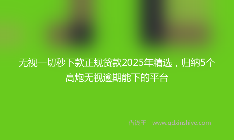 无视一切秒下款正规贷款2025年精选，归纳5个高炮无视逾期能下的平台