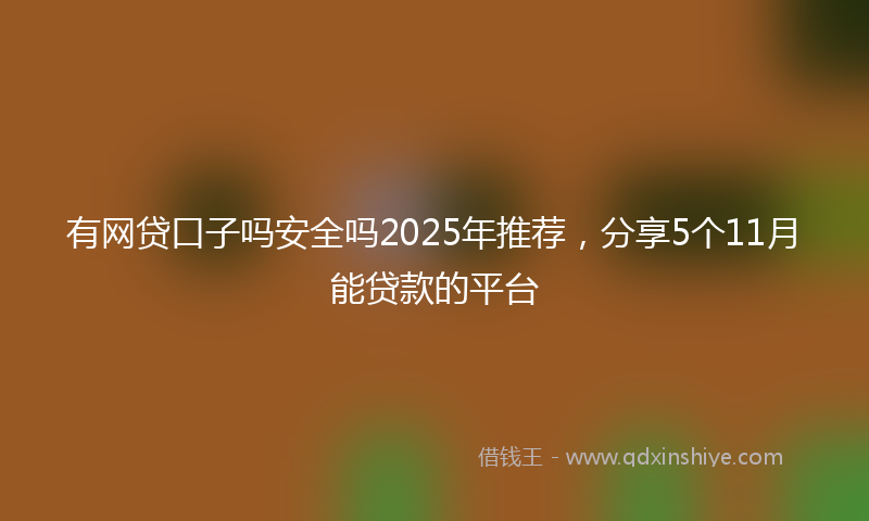 有网贷口子吗安全吗2025年推荐，分享5个11月能贷款的平台