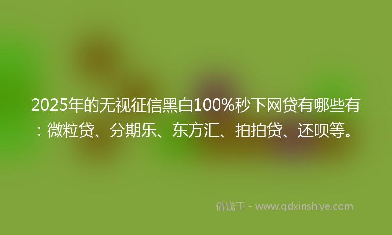 2025年的无视征信黑白100%秒下网贷有哪些有：微粒贷、分期乐、东方汇、拍拍贷、还呗等。