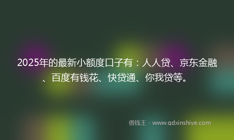 2025年的最新小额度口子有：人人贷、京东金融、百度有钱花、快贷通、你我贷等。